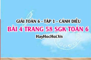 Giải bài 4 trang 58 Toán 6 Tập 1 SGK Cánh Diều